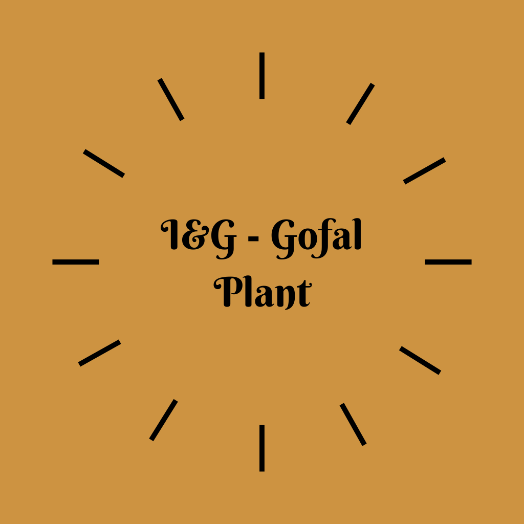 I&G - Gofal Plant